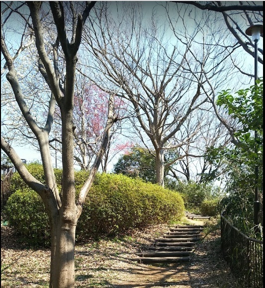 横浜市南区永田東２丁目の土地(南太田四丁目公園)