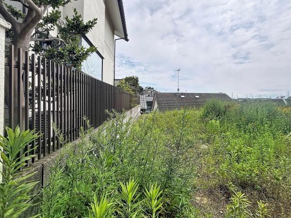土地