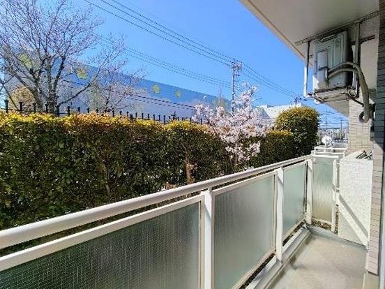 コスモ鶴見セジュール