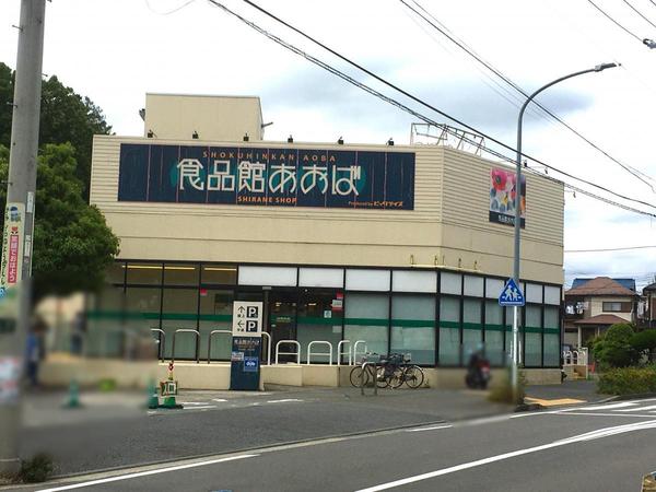 新築一戸建　Ａ号棟(食品館あおば白根店)