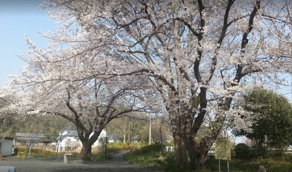 新築一戸建　Ａ号棟(白根公園)
