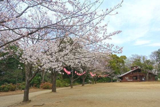 綱島東パーク・ホームズ弐番館(綱島公園)
