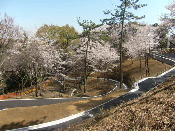 横浜市神奈川区六角橋２丁目の土地(篠原園地)