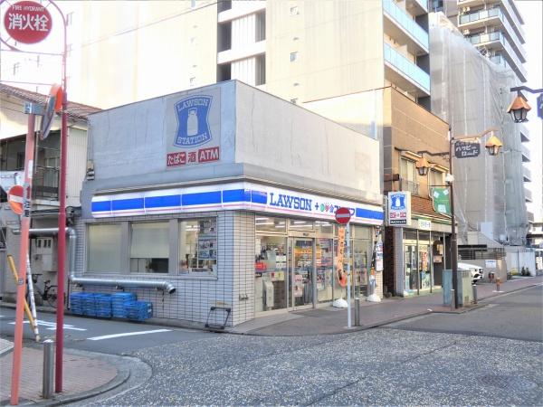 シテラ川崎フローリア(ローソン・スリーエフ川崎南河原店)