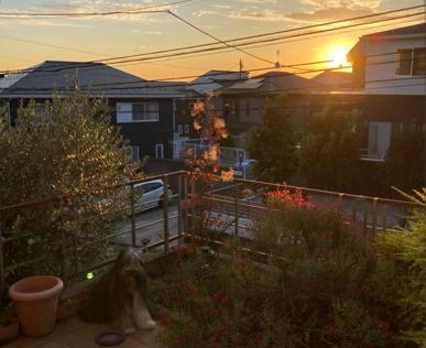 横浜市都筑区川和台の中古一戸建て