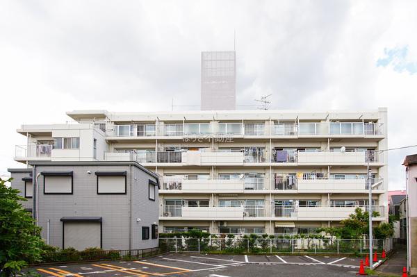 いづみハイツ柴又