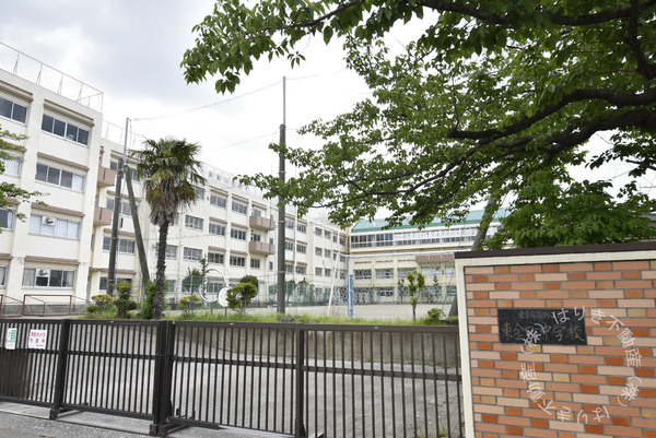 葛飾区東金町8丁目の中古一戸建て(葛飾区立東金町中学校)