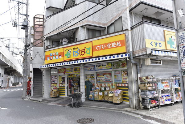 葛飾区鎌倉3丁目 新築戸建 3号棟(どらっぐぱぱす新柴又店)