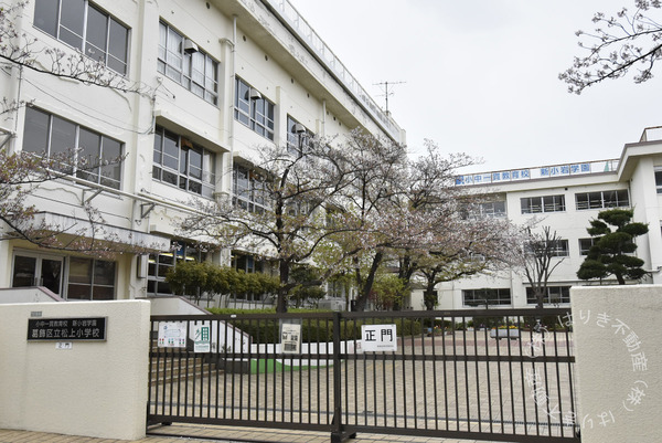 西新小岩ハイツ(葛飾区立松上小学校)