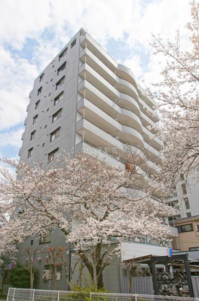 エヴァーグリーン堀切
