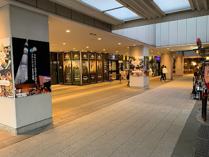 エヴァーグリーン錦糸町(東京ソラマチ)