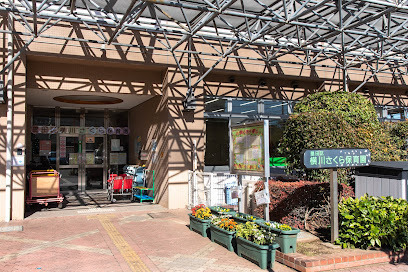 エヴァーグリーン錦糸町(横川さくら保育園)