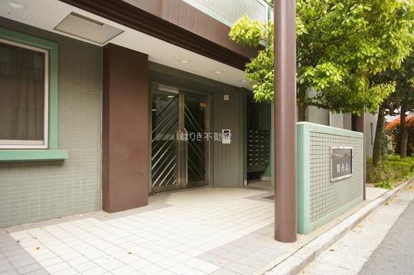 エヴァーグリーン錦糸町