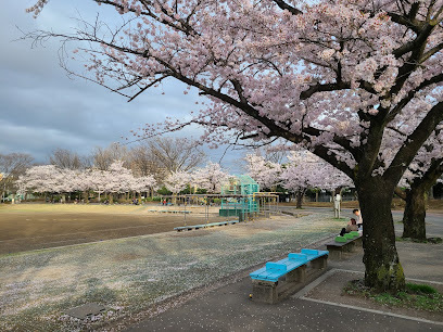 ライオンズマンション新小岩駅前弐番館(新小岩公園)