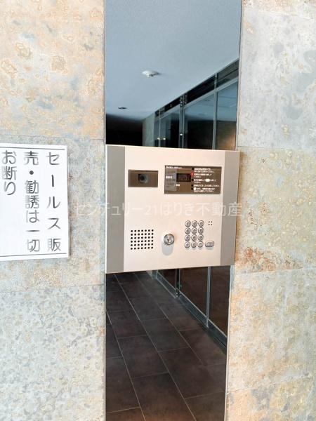 パテラ青砥