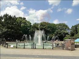 亀有リバーサイドダイヤモンドパレス 1階テナント(青戸平和公園)