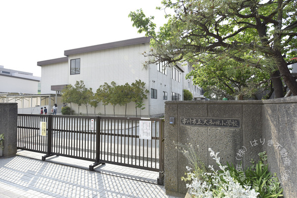 トマス本八幡(市川市立大和田小学校)