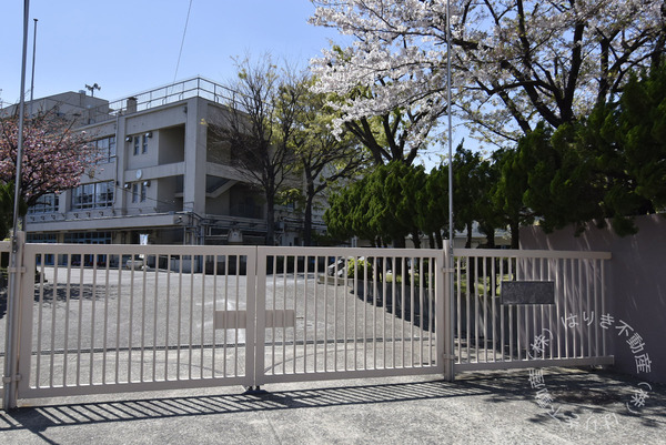 トーア平井マンション(江東区立亀戸中学校)