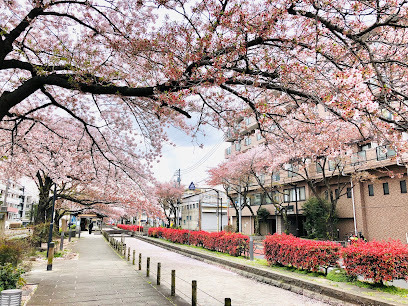 お花茶屋第二ローヤルコーポ(曳舟川親水公園)