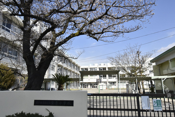 葛飾区金町1丁目の新築一戸建(葛飾区立柴原小学校)