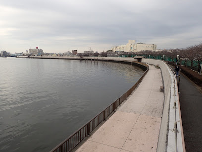 東急ドエル・アルス平和橋(中川右岸緑道公園)