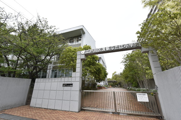 清新中央ハイツ6号棟(江戸川区立清新ふたば小学校)