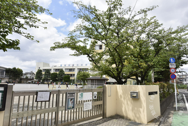 ライオンズマンション柴又(葛飾区立東柴又小学校)