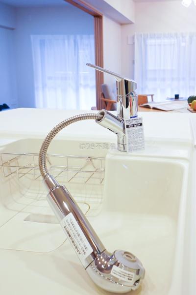 ダイアパレス篠崎ブリリアントコート