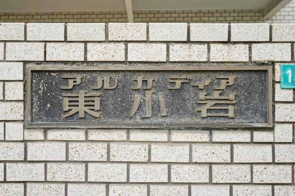 アルカディア東小岩