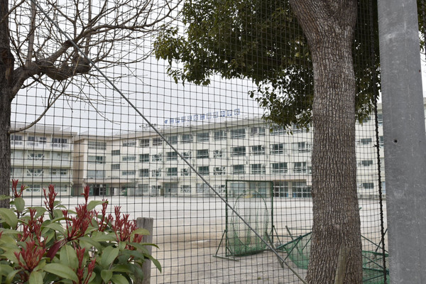 江戸川区大杉1丁目の新築一戸建(江戸川区立松江第四中学校)