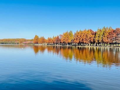 葛飾区東金町７丁目の新築一戸建(都立水元公園)