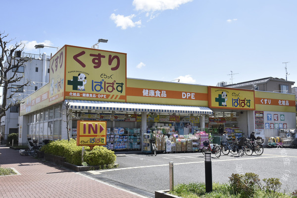 シンクレア柴又パークサイド(どらっぐぱぱす柴又3丁目店)