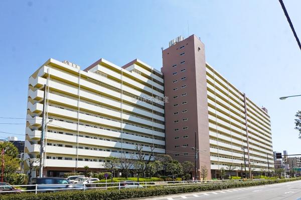葛西住宅　11階