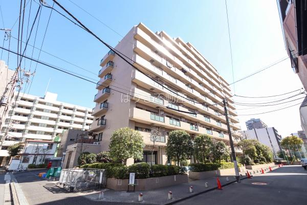 ライオンズガーデン錦糸町　709号室