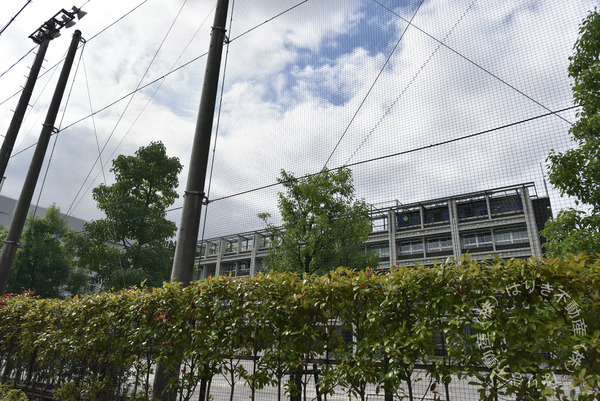 プリマドムス立花　1105号室(江東区立第二亀戸中学校)
