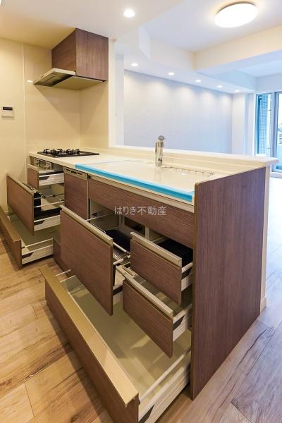 デュアルスイート西葛西　103号室