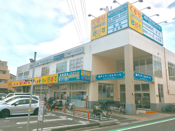 葛飾区東新小岩４丁目の土地(どらっぐぱぱす奥戸店)