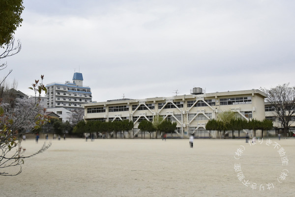 葛飾区東金町８丁目の土地(松戸市立南部小学校)