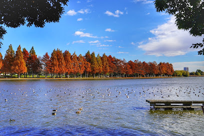 葛飾区水元４丁目の土地(都立水元公園)