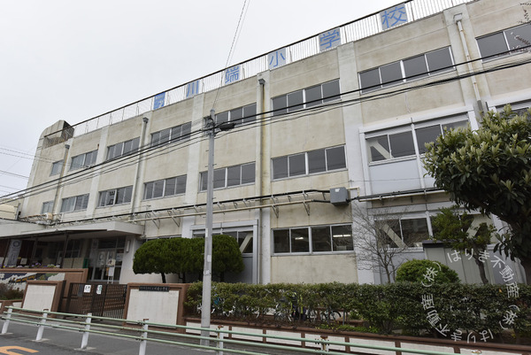 葛飾区東四つ木２丁目の土地(葛飾区立川端小学校)