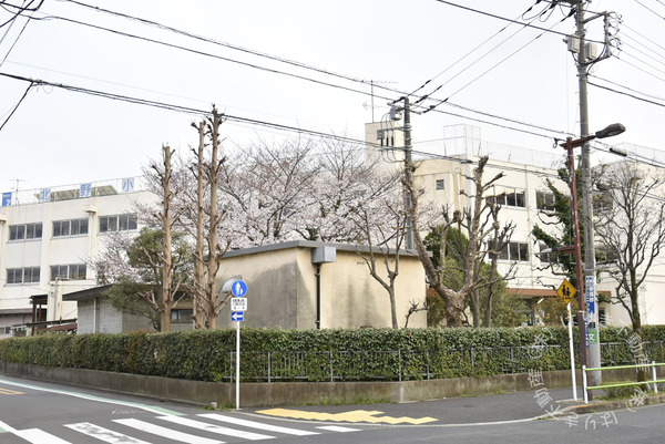 葛飾区柴又１丁目の土地(葛飾区立北野小学校)