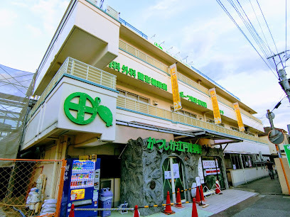 葛飾区鎌倉２丁目の中古一戸建て(かつしか江戸川病院)