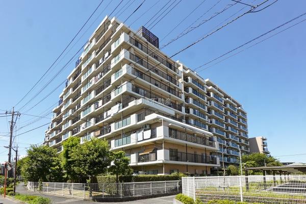 ガーデンプラザ柴又弐番館　509号室