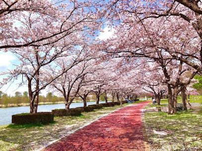 金町ダイヤモンドマンション(埼玉県立みさと公園)