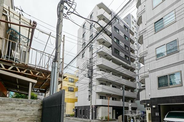 ミルーナヒルズ錦糸町　602号室