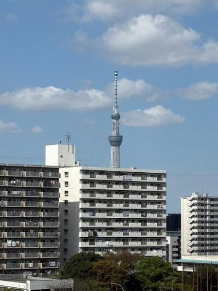 小松川パークマンション２号棟　8階