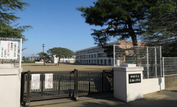 リナージュ神栖堀割3丁目 24-1期全3棟 2号棟(神栖市立息栖小学校)