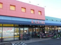 クレイドルガーデン成田市西三里塚第10　全2棟　1号棟(カスミ三里塚店)