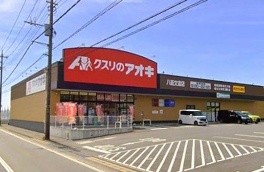 クレイドルガーデン八街市文違第9　全1棟(クスリのアオキ八街文違店)