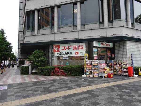河原町スカイマンション(スギ薬局京都市役所前店)